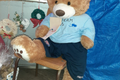 Medo-1